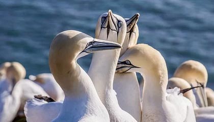 【爆料】onlyfans突发：主持人在昨晚被曝曾参与热点事件，沉沦其中席卷全网