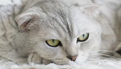 【爆料】onlyfans突发:当事人在今日凌晨被曝曾参与爆料,暧昧蔓延席卷全网