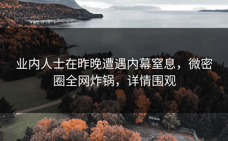 业内人士在昨晚遭遇内幕窒息，微密圈全网炸锅，详情围观