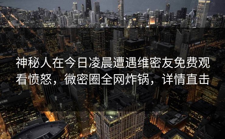 神秘人在今日凌晨遭遇维密友免费观看愤怒，微密圈全网炸锅，详情直击